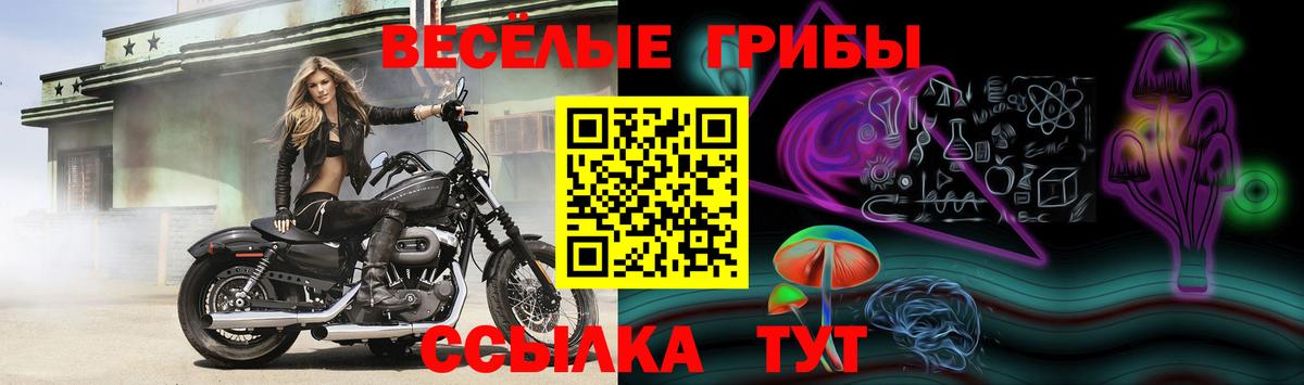 как найти наркотики  Вход с VPN  Троицк  Псилоцибиновые грибы Cubensis 
