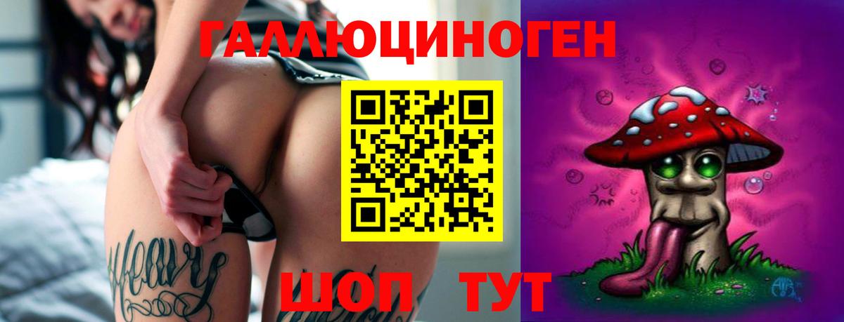 Псилоцибиновые грибы Cubensis Троицк